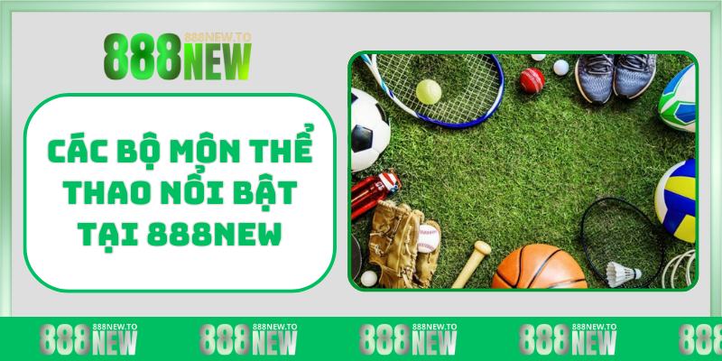 Các bộ môn thể thao nổi bật tại 888NEW