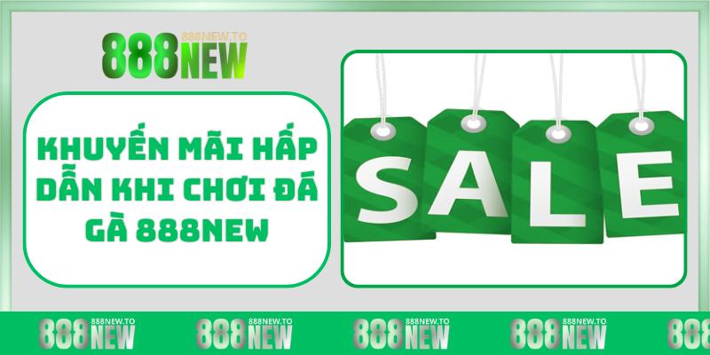 Khuyến mãi hấp dẫn khi chơi đá gà 888NEW