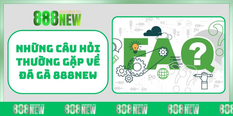Những câu hỏi thường gặp về đá gà 888NEW