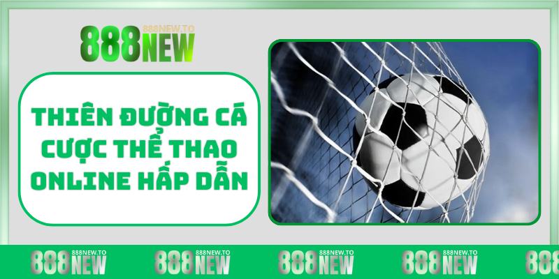 Thiên đường cá cược thể thao online hấp dẫn